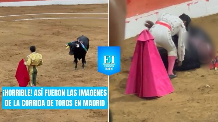 Indignación en Madrid, Cundinamarca, por brutal sacrificio de toros en evento taurino
