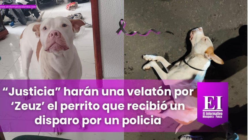 “Justicia” realizarán velatón en Funza por el asesinato de Zeus el perrito que recibió un disparo de un policía